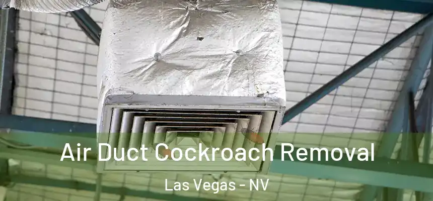 Air Duct Cockroach Removal Las Vegas - NV