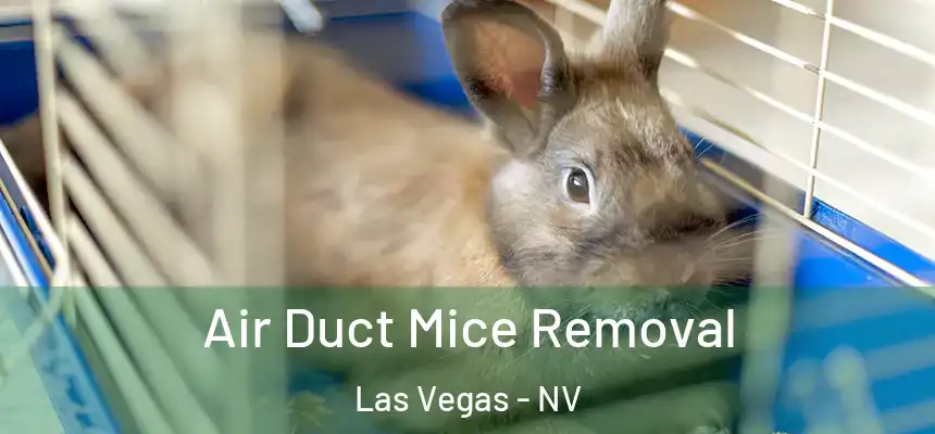 Air Duct Mice Removal Las Vegas - NV