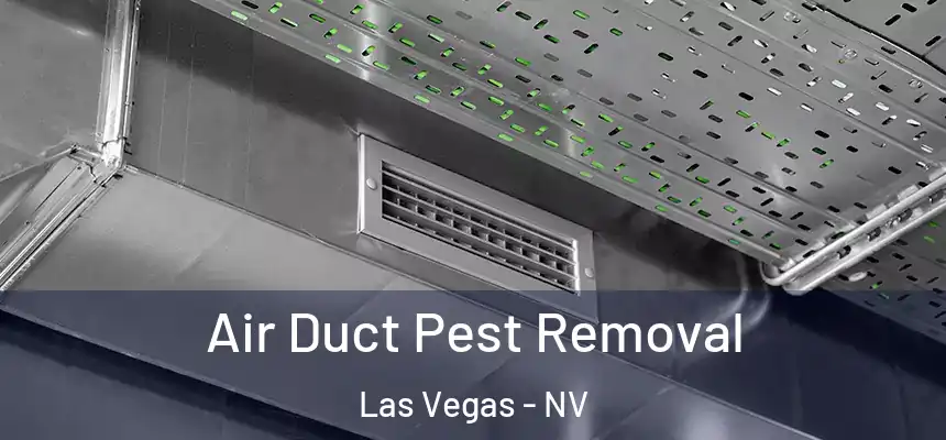 Air Duct Pest Removal Las Vegas - NV