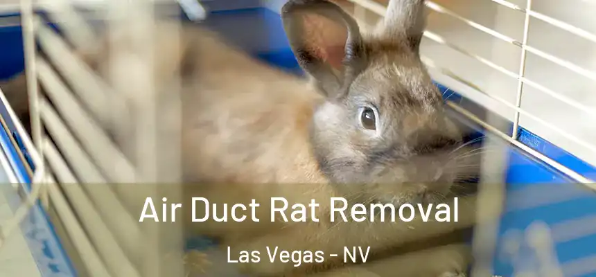 Air Duct Rat Removal Las Vegas - NV