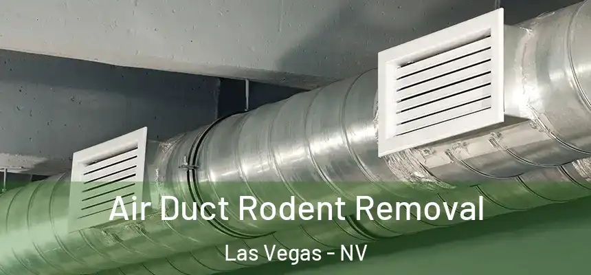 Air Duct Rodent Removal Las Vegas - NV