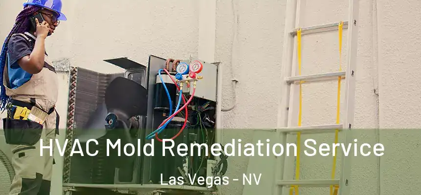 HVAC Mold Remediation Service Las Vegas - NV