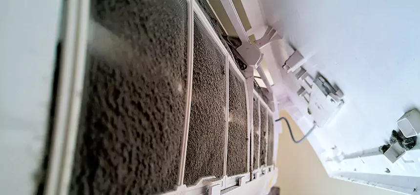 Preventive Air Duct Bacteria Removal in Las Vegas