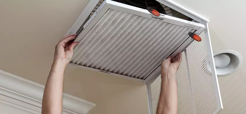 Preventive Cockroach-Proofing for Ducts in Las Vegas