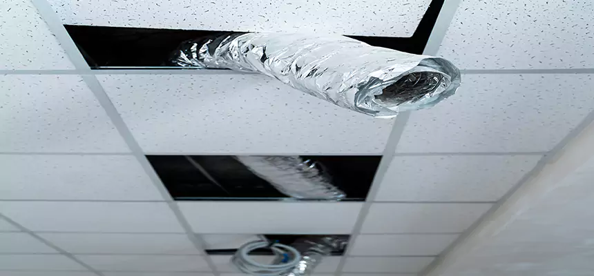 Affordable HVAC Sanitizing After Pest Removal in Las Vegas