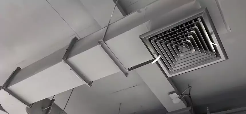 Restorative Allergy Relief Vent Cleaning – Coil, Blower & Housing Detail in Las Vegas