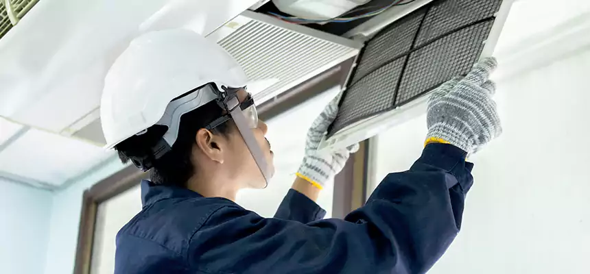 Our Mold & Mildew Removal from Air Ducts Services in Las Vegas, NV