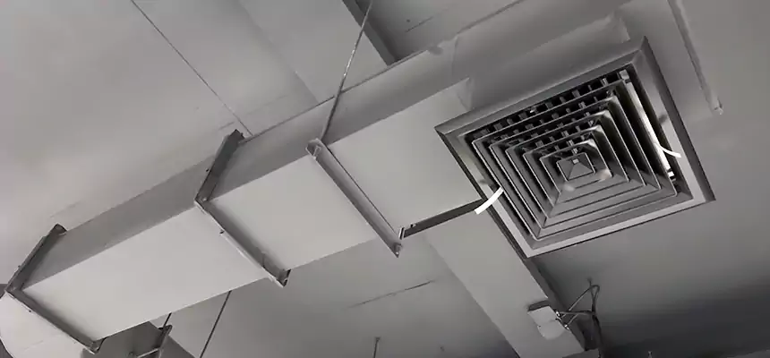 Our Pest Removal From Ducts Services in Las Vegas, NV