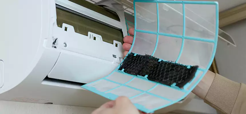 Gentle Ductwork Odor-Control Pet Dander Duct Cleaning in Las Vegas, NV