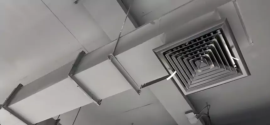 Our Rodent Droppings In Vents Services in Las Vegas, NV