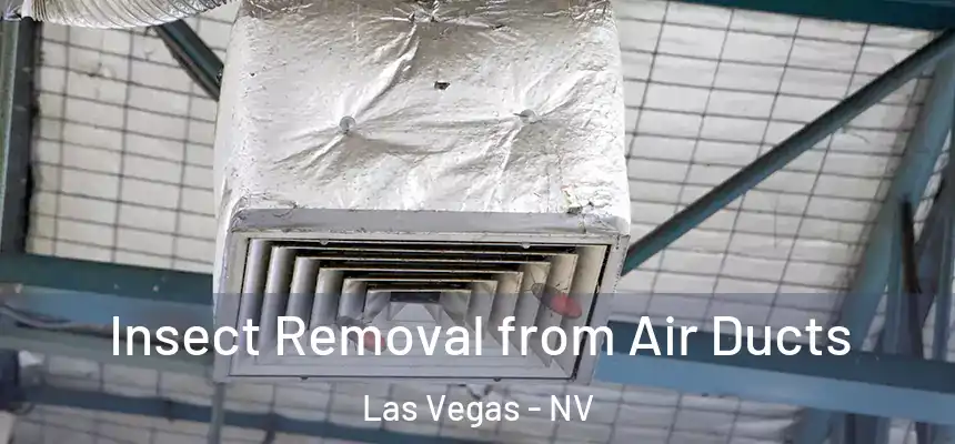Insect Removal from Air Ducts Las Vegas - NV