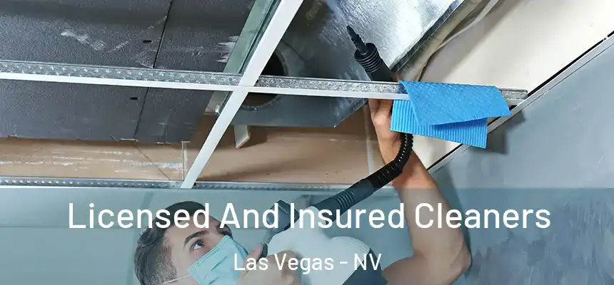 Licensed And Insured Cleaners Las Vegas - NV
