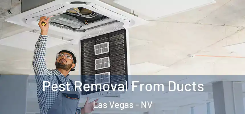 Pest Removal From Ducts Las Vegas - NV