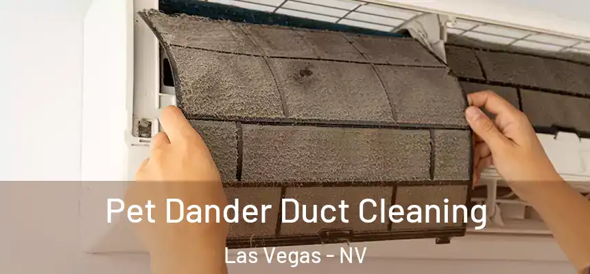Pet Dander Duct Cleaning Las Vegas - NV