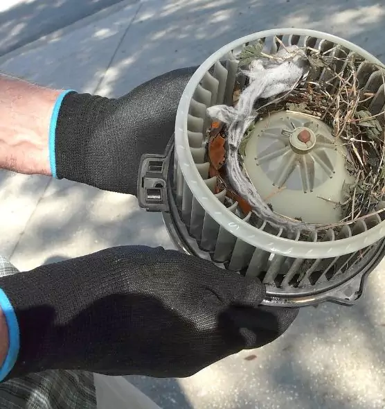 About Air Duct Mice Removal in Las Vegas, NV