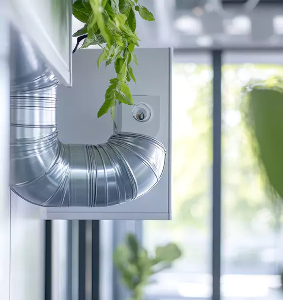 Professional Eco-Friendly Duct Cleaning Services in Las Vegas, NV