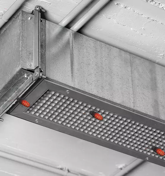 Affordable Insect Removal from Air Ducts in Las Vegas, NV
