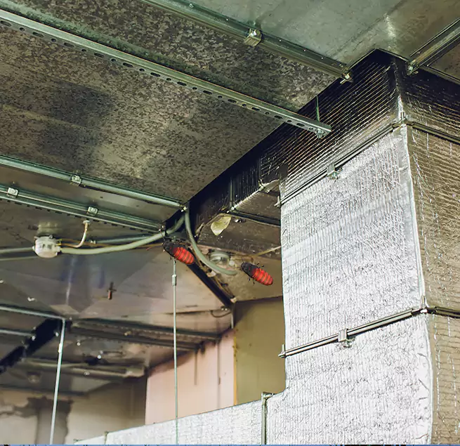 Why Homeowners & Businesses Trust Us in Las Vegas, NV?