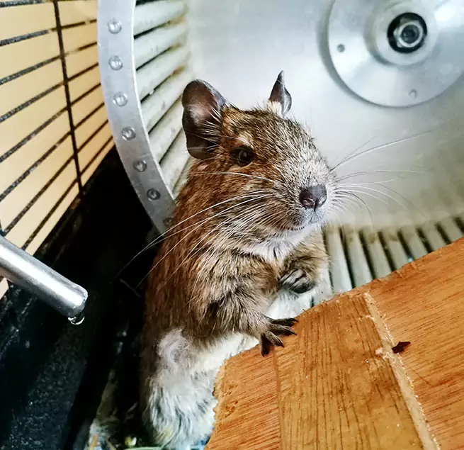 Why Homeowners & Businesses Trust Us Las Vegas, NV