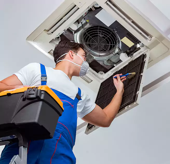 Why Homeowners & Businesses Trust Us in Las Vegas, NV