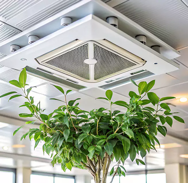 Why Homeowners & Businesses Trust Us in Las Vegas, NV?