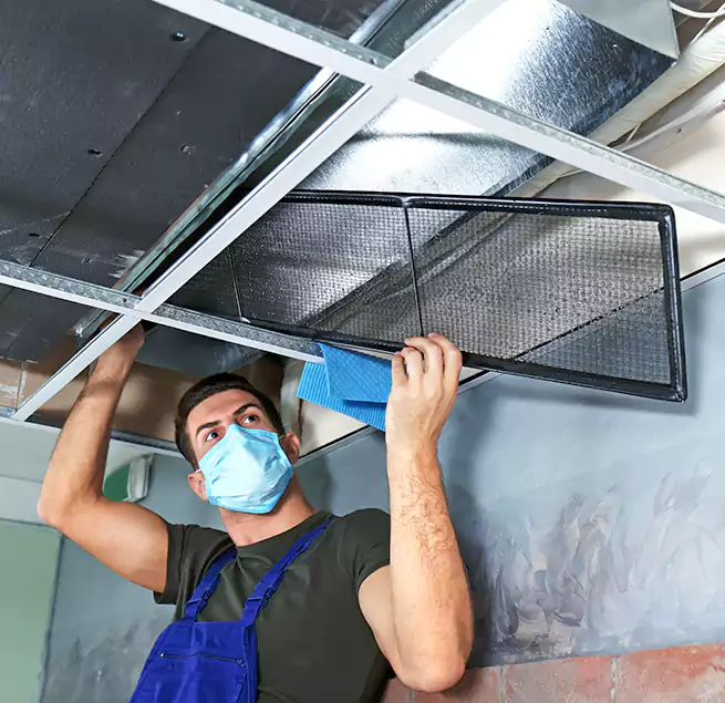 Why Homeowners Businesses Trust Us in Las Vegas, NV